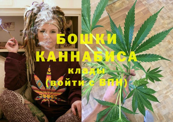 спайс Бородино