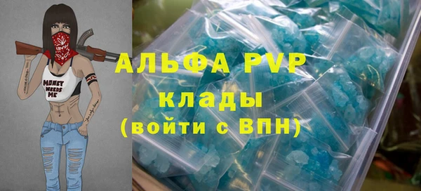 спайс Бородино