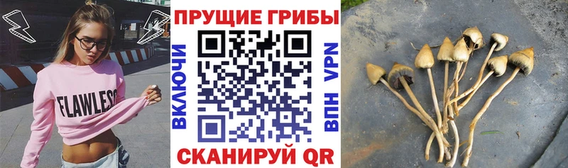 Псилоцибиновые грибы GOLDEN TEACHER  где можно купить наркотик  Демидов 